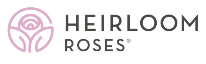 Heirloom Roses